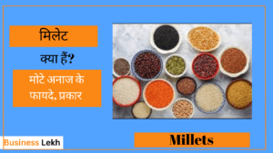 Millets in Hindi - क्या होता है मोटा आनाज जाने पूरी जानकारी