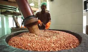 Food Manufacturing Business Ideas: कम पैसे में शुरू करके ज्यादा मुनाफा कमाने वाले फ़ूड मैन्युफैक्चरिंग बिज़नेस आइडियाज
