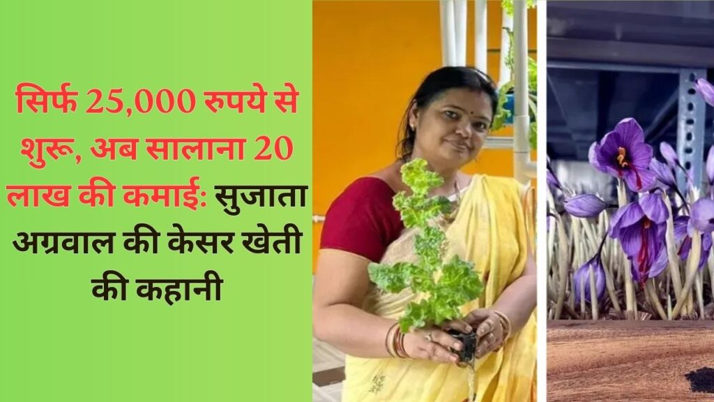 सिर्फ 25,000 रुपये से शुरू, अब सालाना 20 लाख की कमाई: सुजाता अग्रवाल की केसर खेती की कहानी